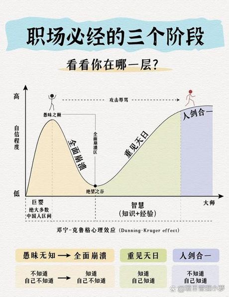 见习，职场新人的见习之路